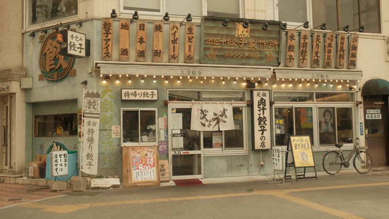 A restaurant storefront has a pale green facade with Japanese signage and a bicycle parked outside. Signs read "手包み餃子" (handmade dumplings), "餃子アイス" (dumpling ice cream), "地酒" (local sake), "日本酒" (Japanese sake), "焼酎" (shochu), "ハイボール" (highball), and "生ビール" (draft beer). A large sign reads "肉汁餃子製作所 タンタタン酒場" (Juicy Dumpling Factory Tantatan Tavern). A sign in front of the entrance reads "持帰り餃子" (takeout dumplings). A white curtain with black writing hangs in the doorway. A sandwich board advertises highballs for 190 yen.